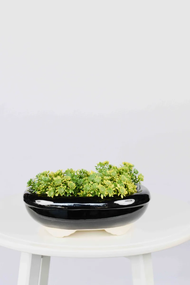 Classic Ceramic Planter — Primary View