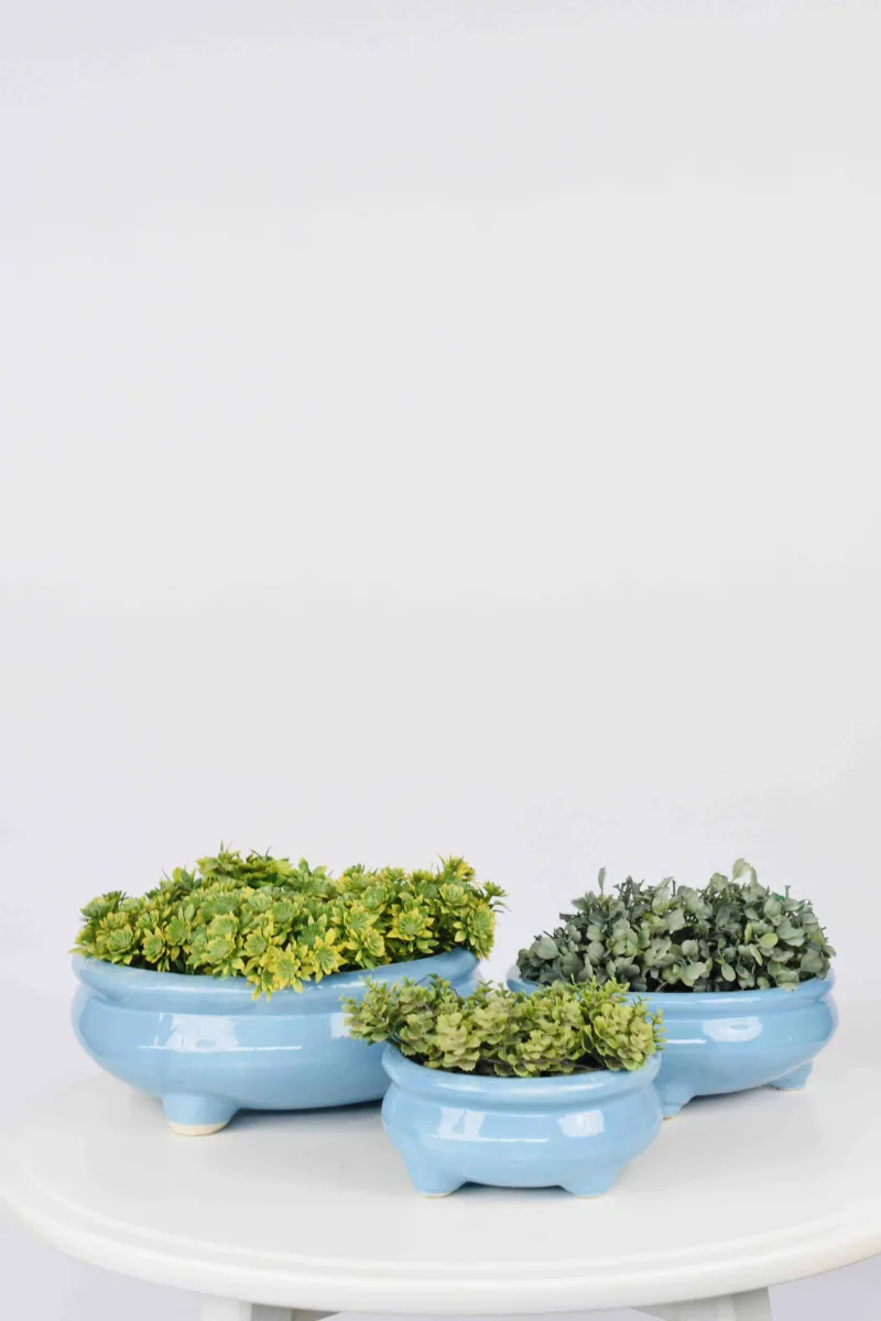 Classic Ceramic Planter — Primary View