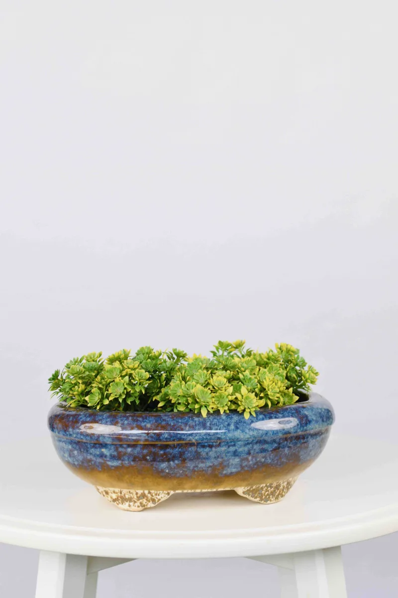 Classic Ceramic Planter Set of 2 (2" Dia) — Primary View