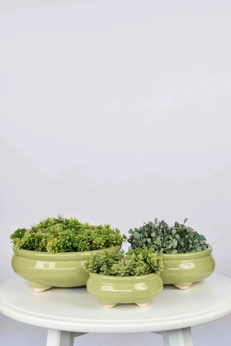 Classic Ceramic Planter — 10" Dia × 3" Height — Primary View