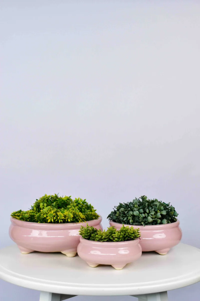 Classic Ceramic Planter — 9" Dia × 3" Height — Primary View