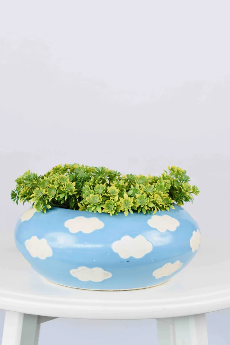 Classic Ceramic Planter — 7.5" Dia × 2.5" Height — Primary View