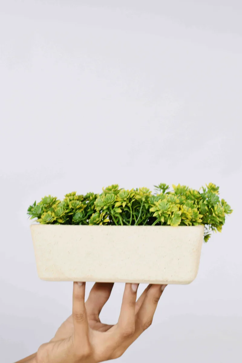 Classic Ceramic Planter — 12.5" Dia × 4.5" Height — Primary View