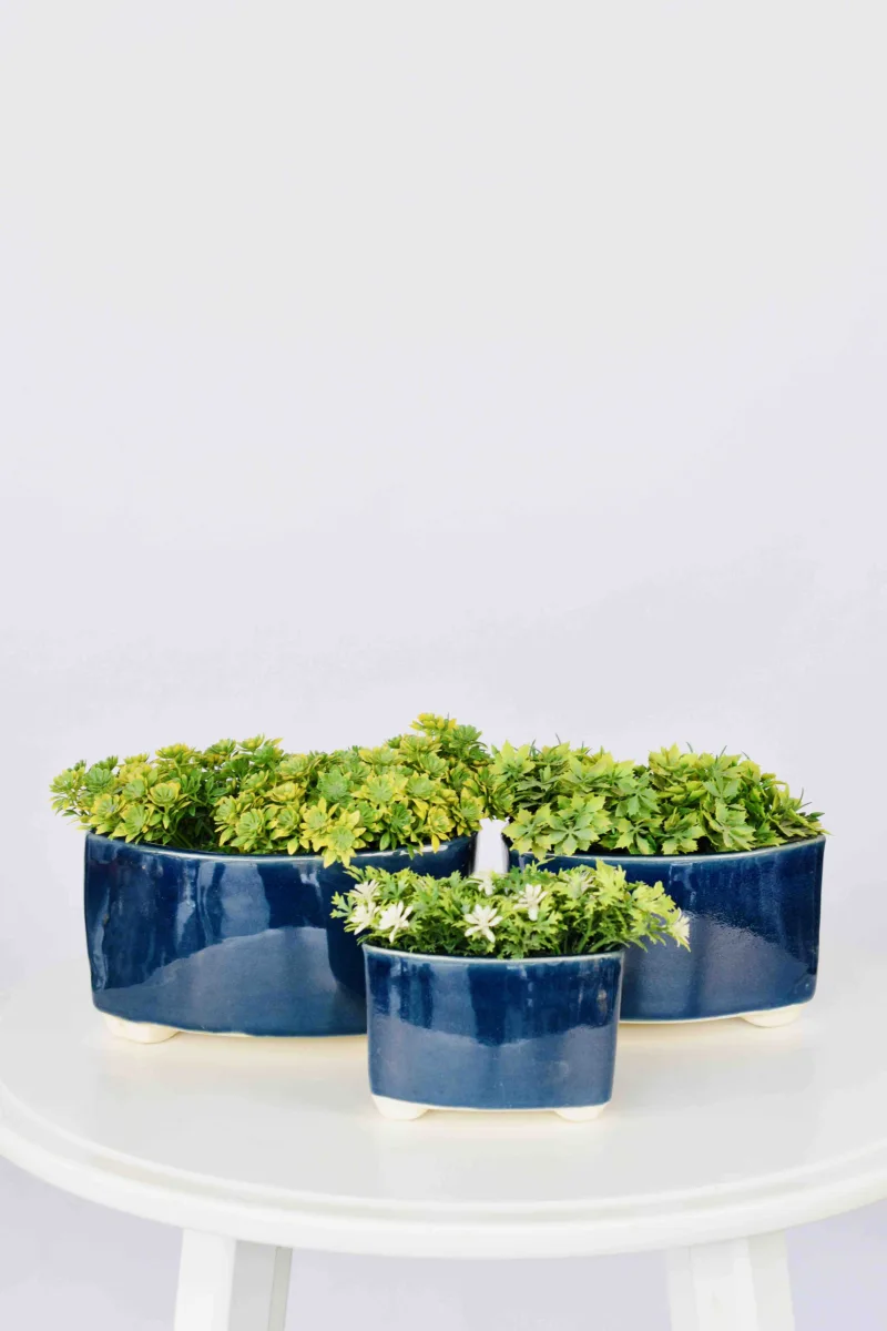 Classic Ceramic Planter — 9.5" Dia × 3" Height — Primary View