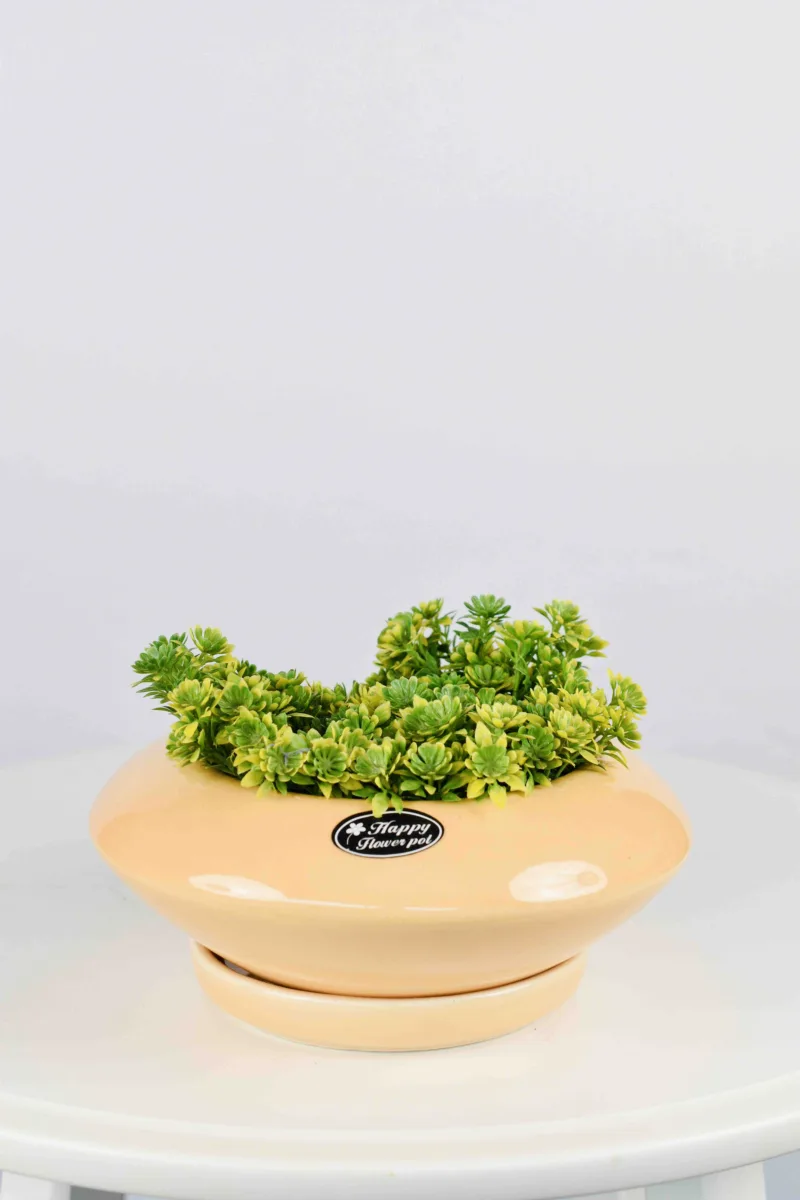 Classic Ceramic Planter Set of 3 (3" Dia) — Primary View
