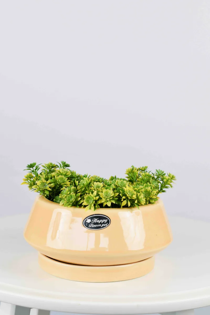 Classic Ceramic Planter — 9.5" Dia × 3" Height — Primary View