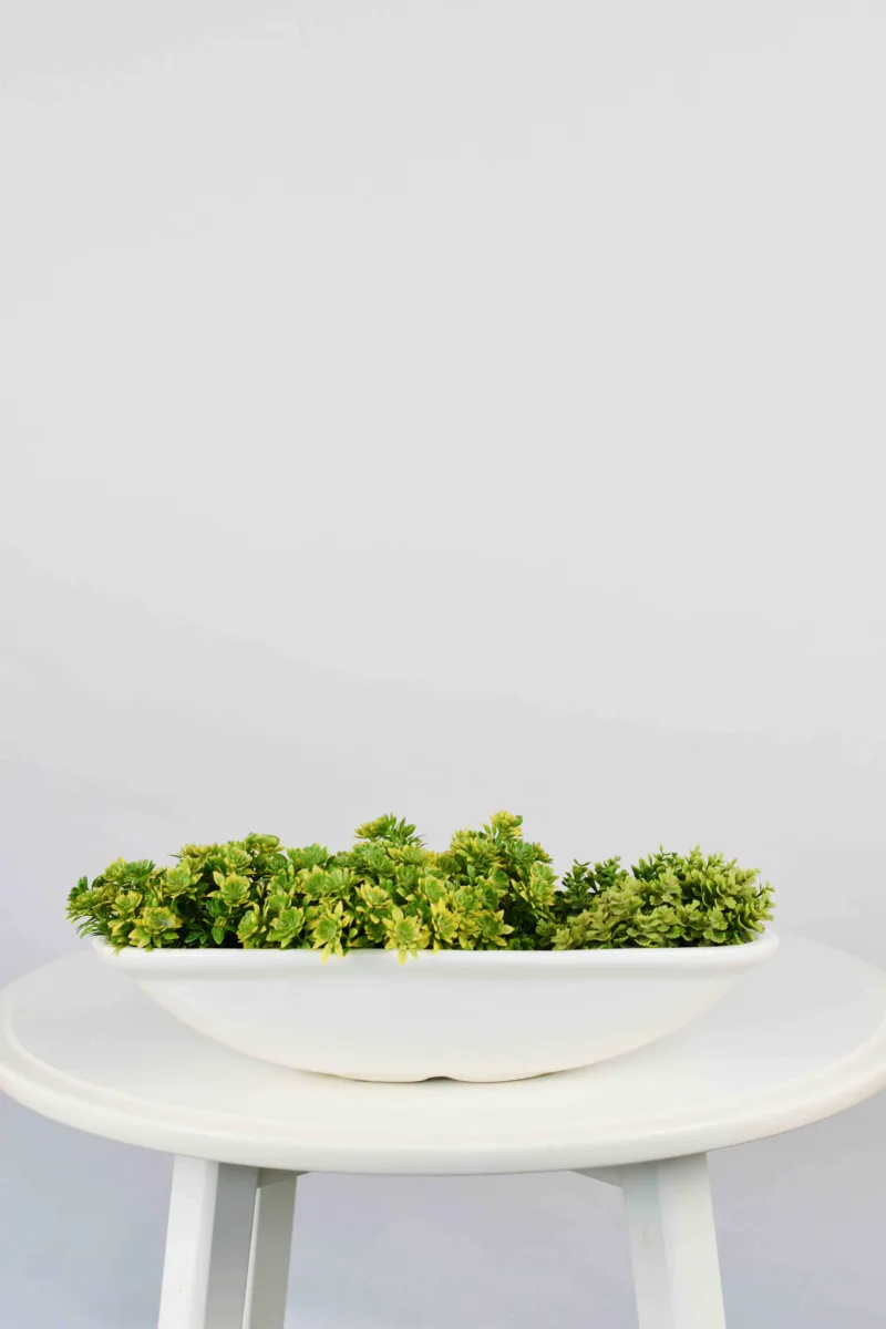 Classic Ceramic Planter — 9" Dia × 4" Height — Primary View