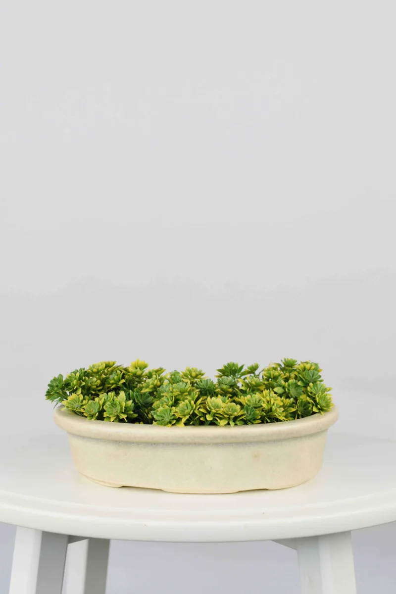 Classic Ceramic Planter — 9" Dia × 4" Height — Primary View