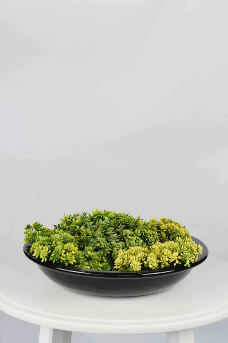 Classic Ceramic Planter — 9" Dia × 4" Height — Primary View