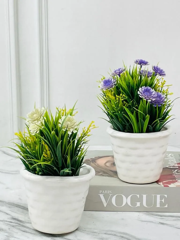 Classic Ceramic Planter — 12.5" Dia × 3" Height — Primary View