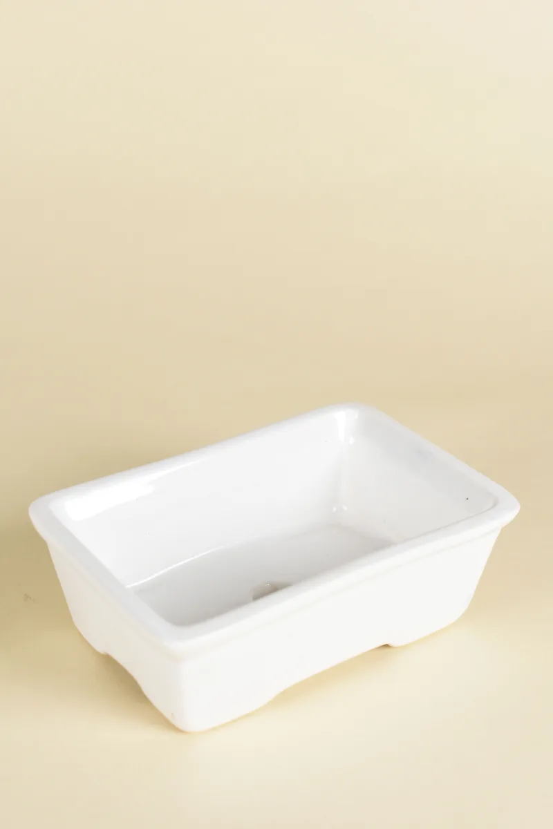 Classic Ceramic Planter — 4" Dia × 3" Height — Primary View