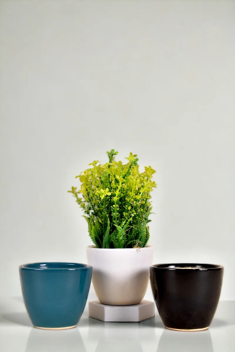 Classic Ceramic Planter — 3.5" Dia × 3.5" Height — Primary View
