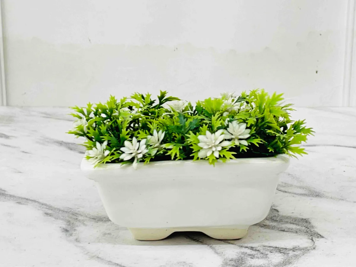 Classic Ceramic Planter — 3" Dia × 4" Height — Primary View