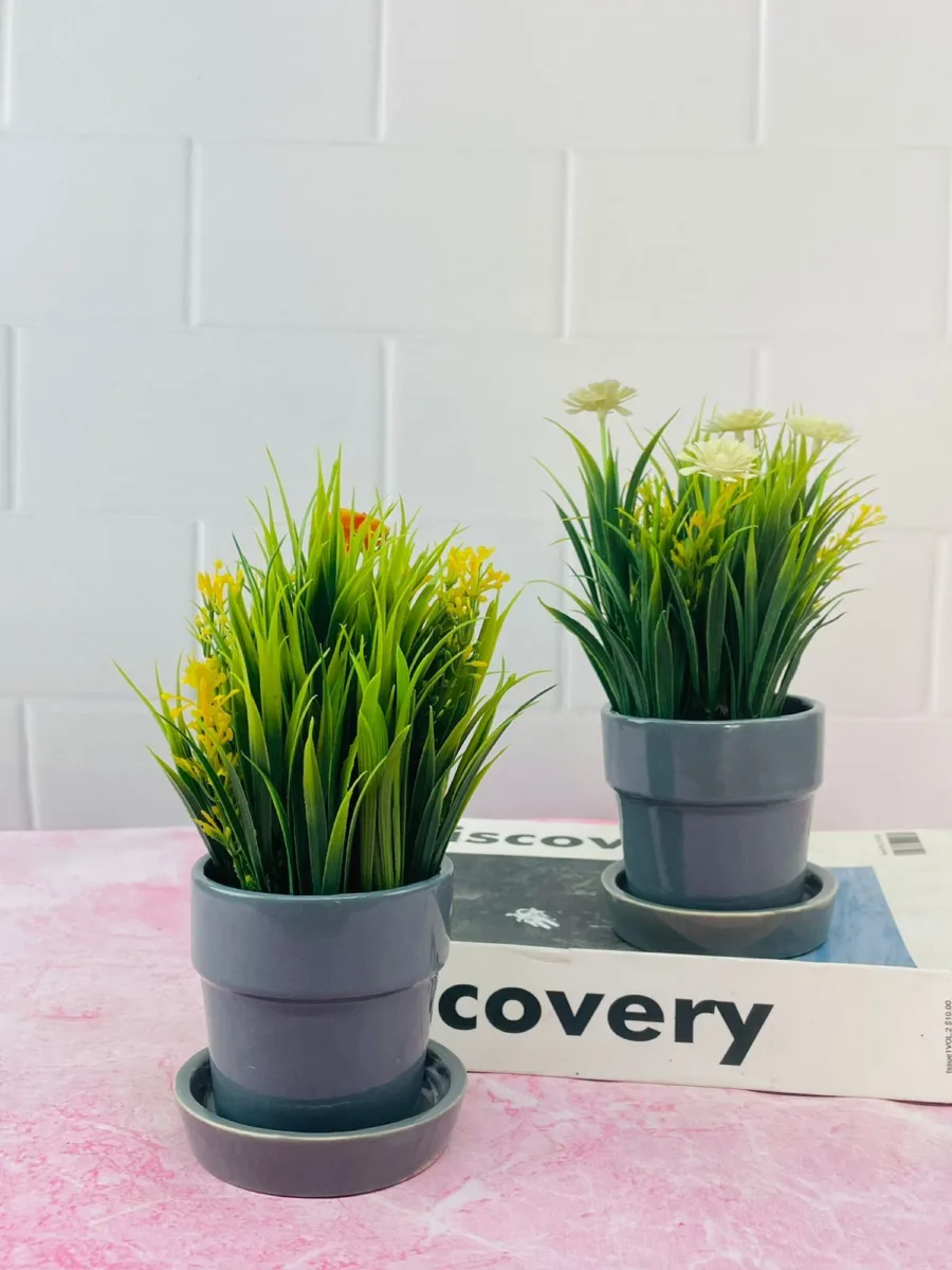 Classic Ceramic Planter — 5" Dia × 2.5" Height — Primary View