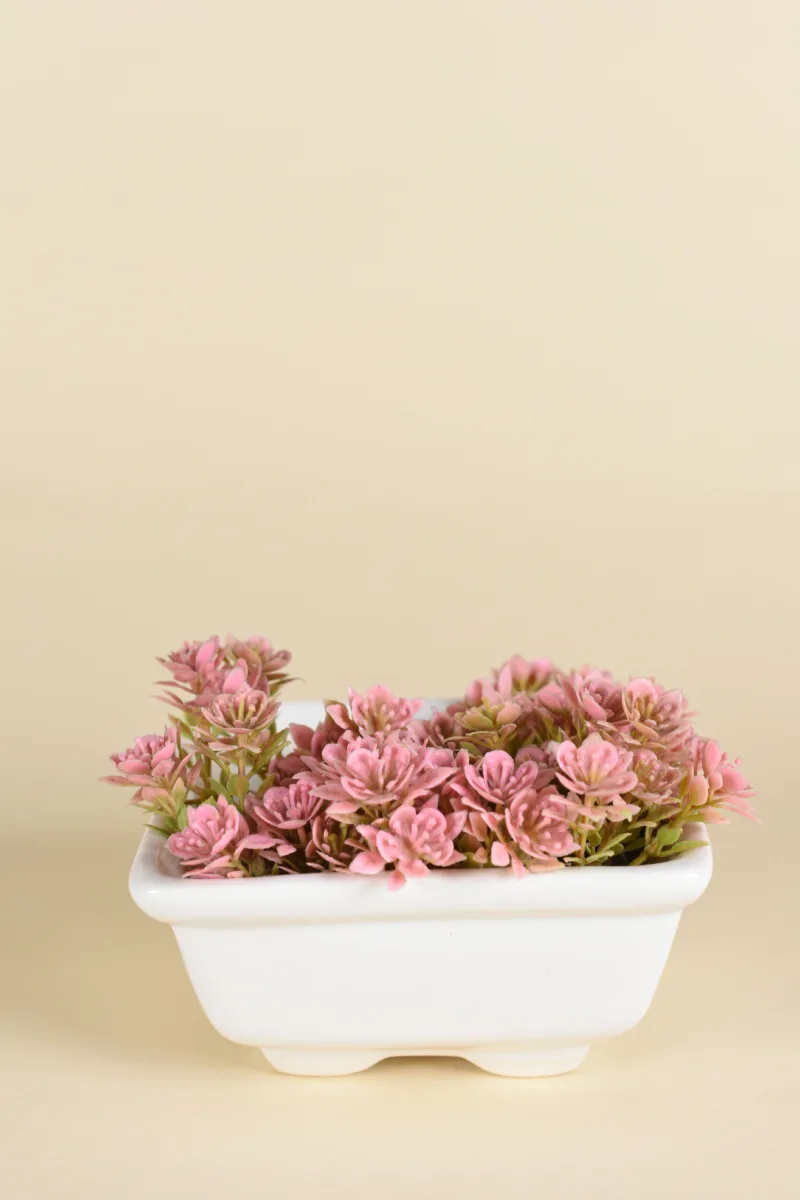 Classic Ceramic Planter — 3.5" Dia × 2.5" Height — Primary View