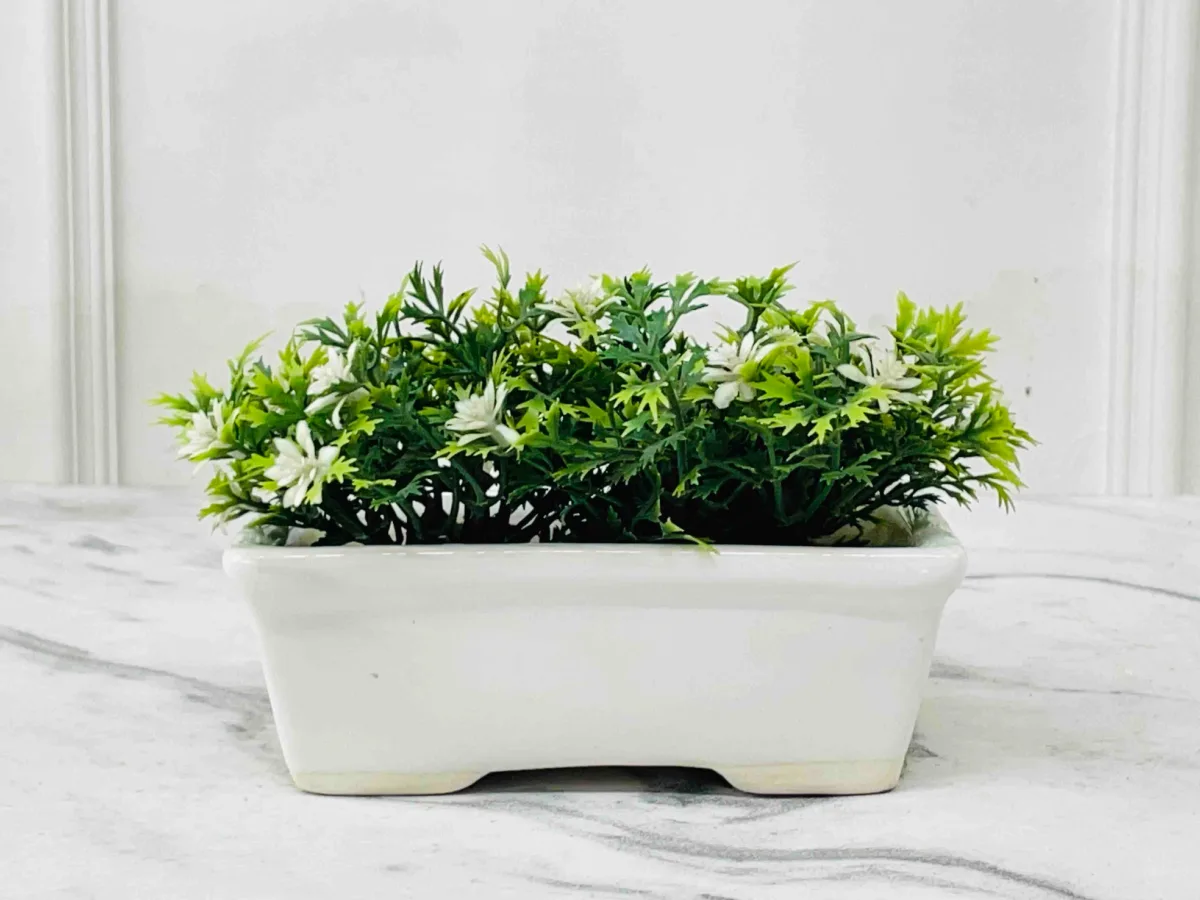 Classic Ceramic Planter — 5" Dia × 2" Height — Primary View