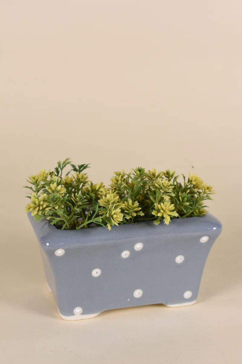 Classic Ceramic Planter — 4" Dia × 3.5" Height — Primary View