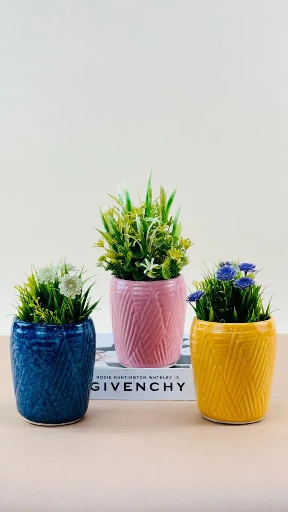 Classic Ceramic Planter — 5.5" Dia × 2.5" Height — Primary View