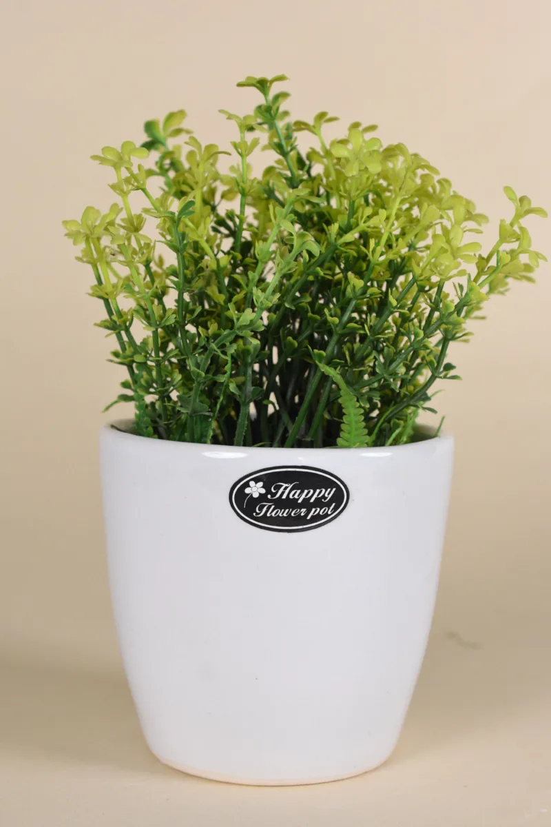 Classic Ceramic Planter — 5" Dia × 2.5" Height — Primary View