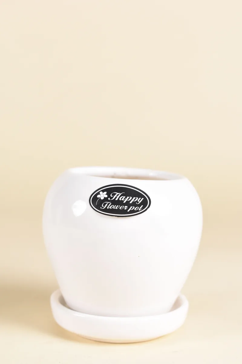 Classic Ceramic Planter — 3.5" Dia × 3.5" Height — Primary View