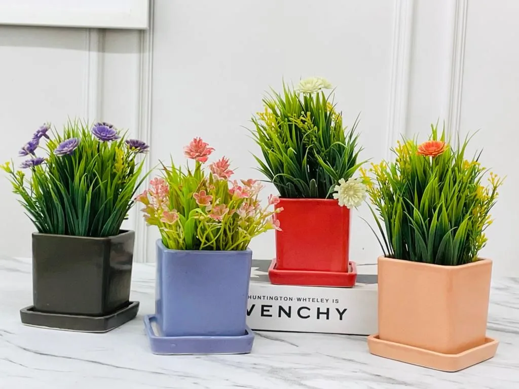 Classic Ceramic Planter — 6" Dia × 3" Height — Primary View