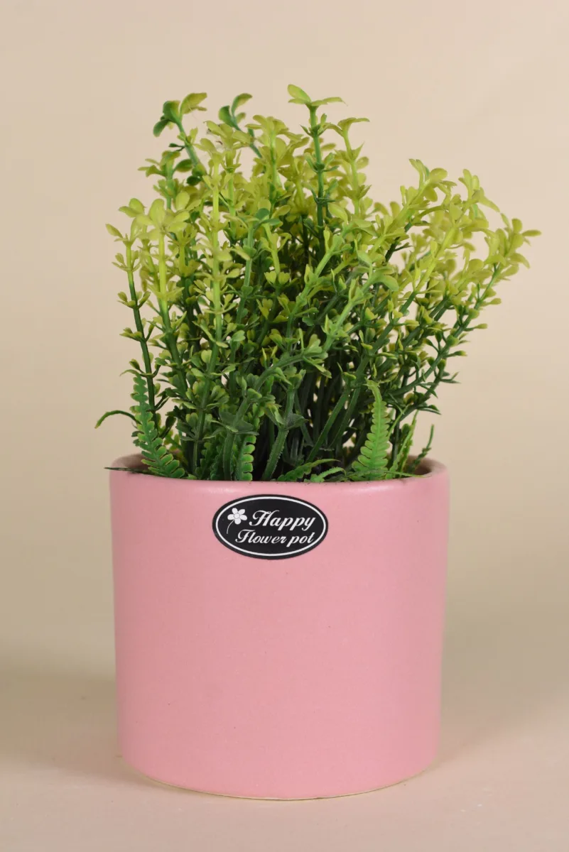 Classic Ceramic Planter — 4.5" Dia × 3" Height — Primary View