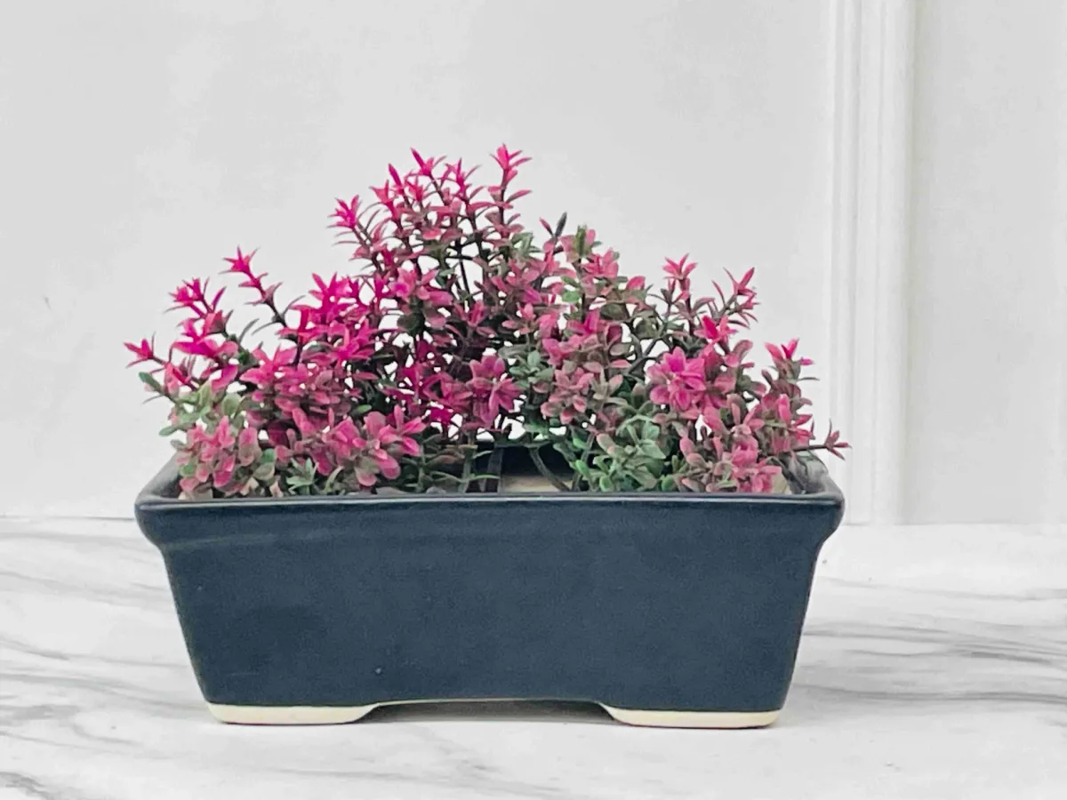 Classic Ceramic Planter — 4" Dia × 3.5" Height — Primary View