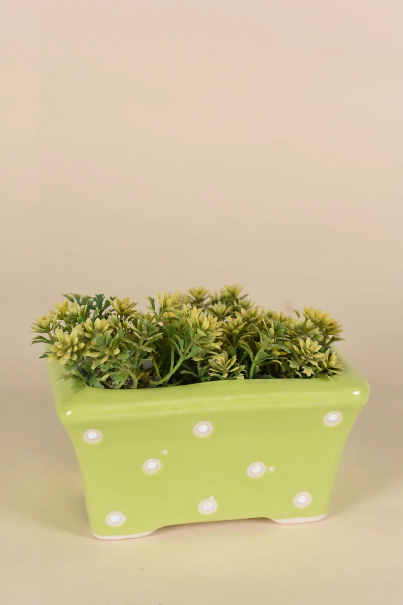 Classic Ceramic Planter — 3.5" Dia × 3.5" Height — Primary View