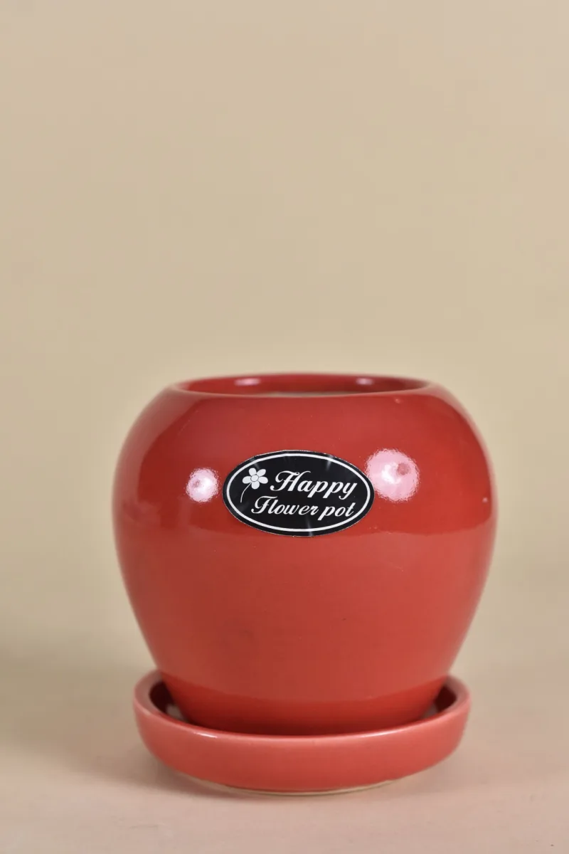 Classic Ceramic Planter — 3.5" Dia × 3.5" Height — Primary View