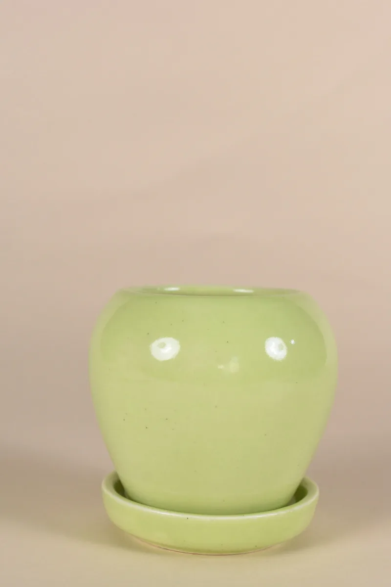 Classic Ceramic Planter — 5.5" Dia × 2.5" Height — Primary View