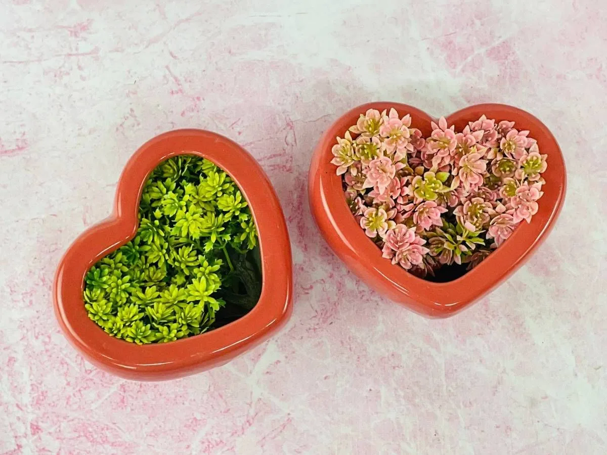 Classic Ceramic Planter — 5.5" Dia × 2.5" Height — Primary View