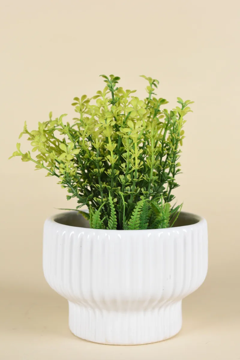 Classic Ceramic Planter — 4" Dia × 3.5" Height — Primary View