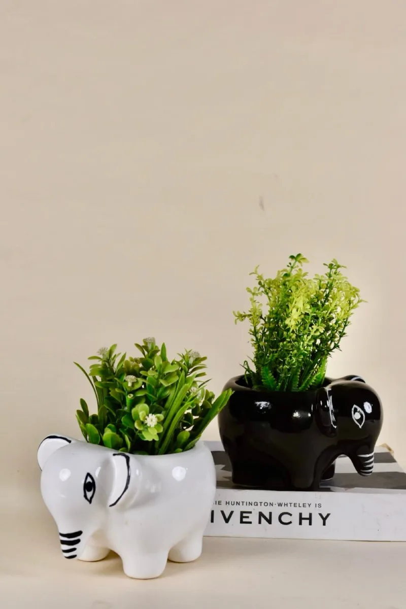 Classic Ceramic Planter — 5.5" Dia × 2.5" Height — Primary View