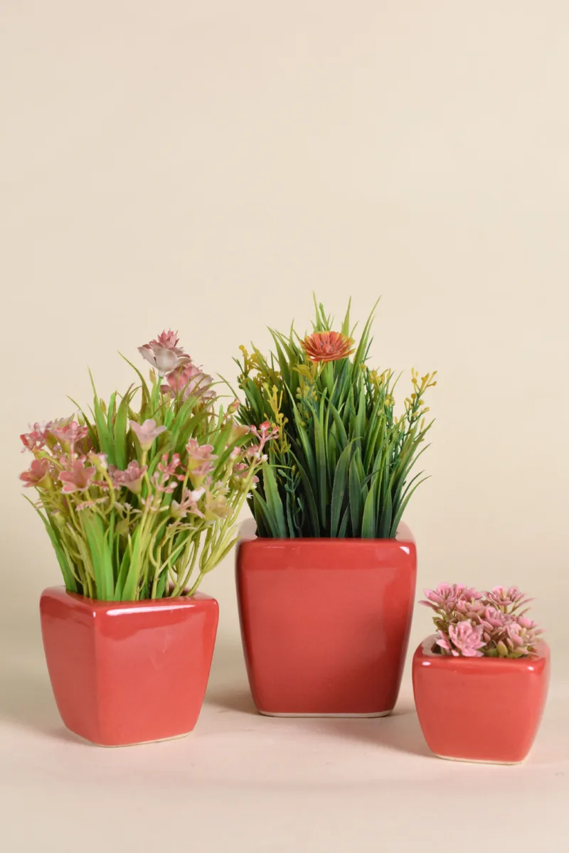 Classic Ceramic Planter — 5.5" Dia × 5.5" Height — Primary View