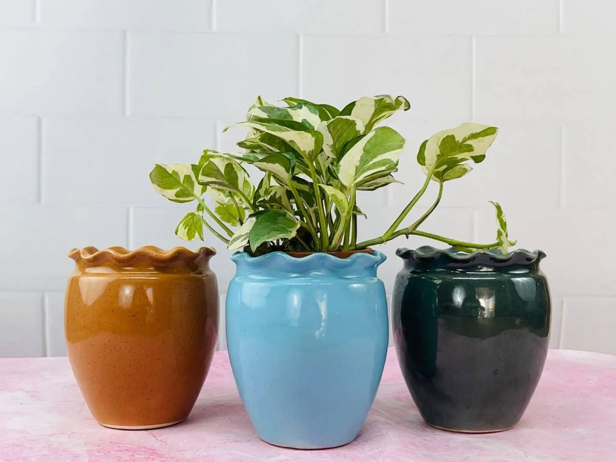 Classic Ceramic Planter — 4" Dia × 5.5" Height — Primary View