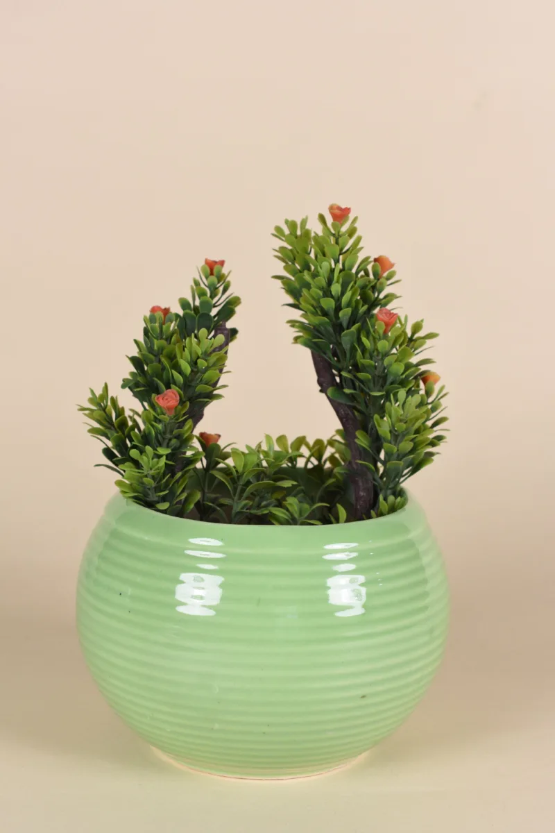 Classic Ceramic Planter — 4.5" Dia × 6.5" Height — Primary View