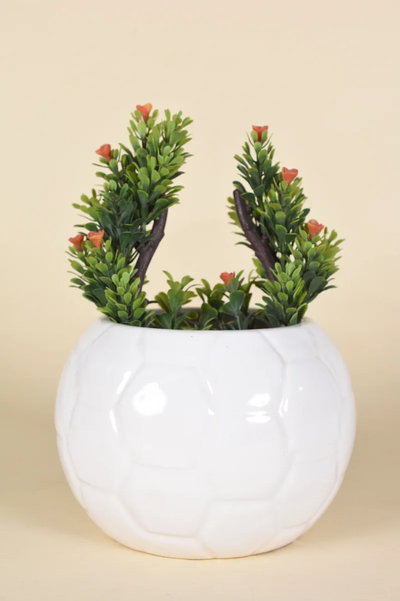 Classic Ceramic Planter — 7" Dia × 3.5" Height — Primary View