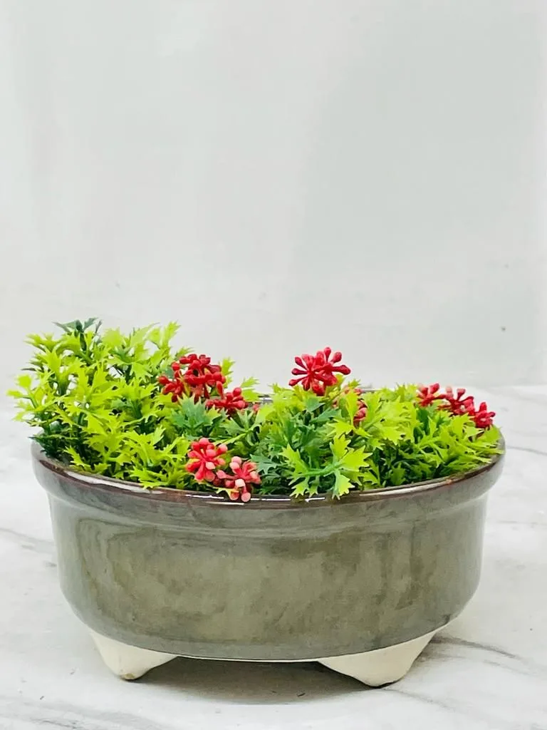 Classic Ceramic Planter — 6" Dia × 4" Height — Primary View