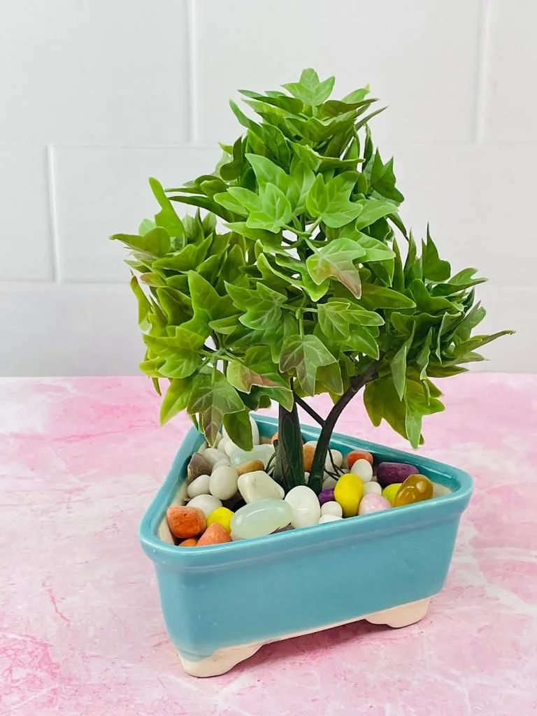 Classic Ceramic Planter — 4" Dia × 4.5" Height — Primary View