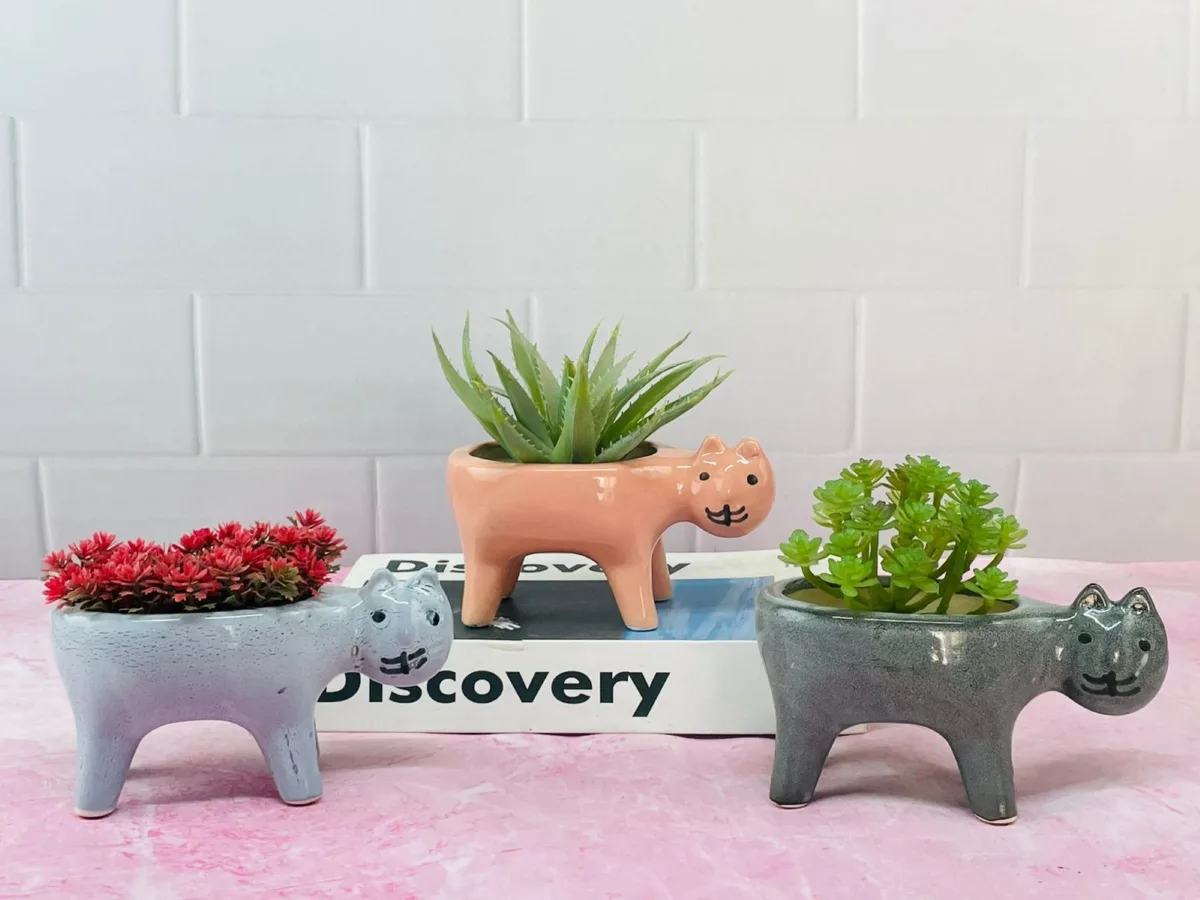 Classic Ceramic Planter — 6" Dia × 2.5" Height — Primary View