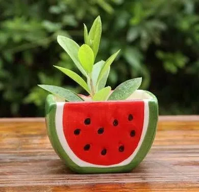 Classic Ceramic Planter — 4.5" Dia × 4" Height — Primary View