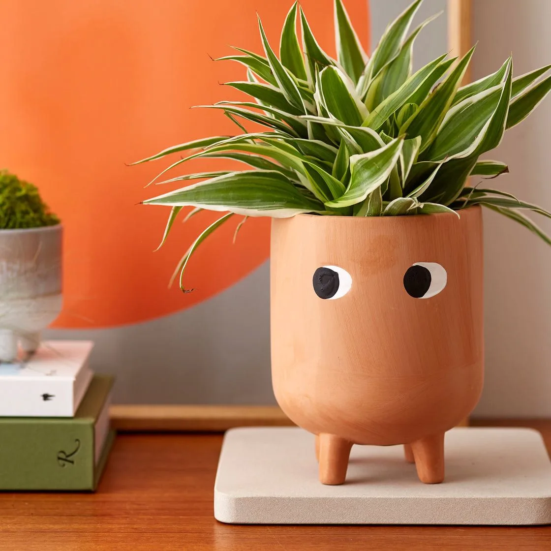 Classic Ceramic Planter — 4" Dia × 4.5" Height — Primary View