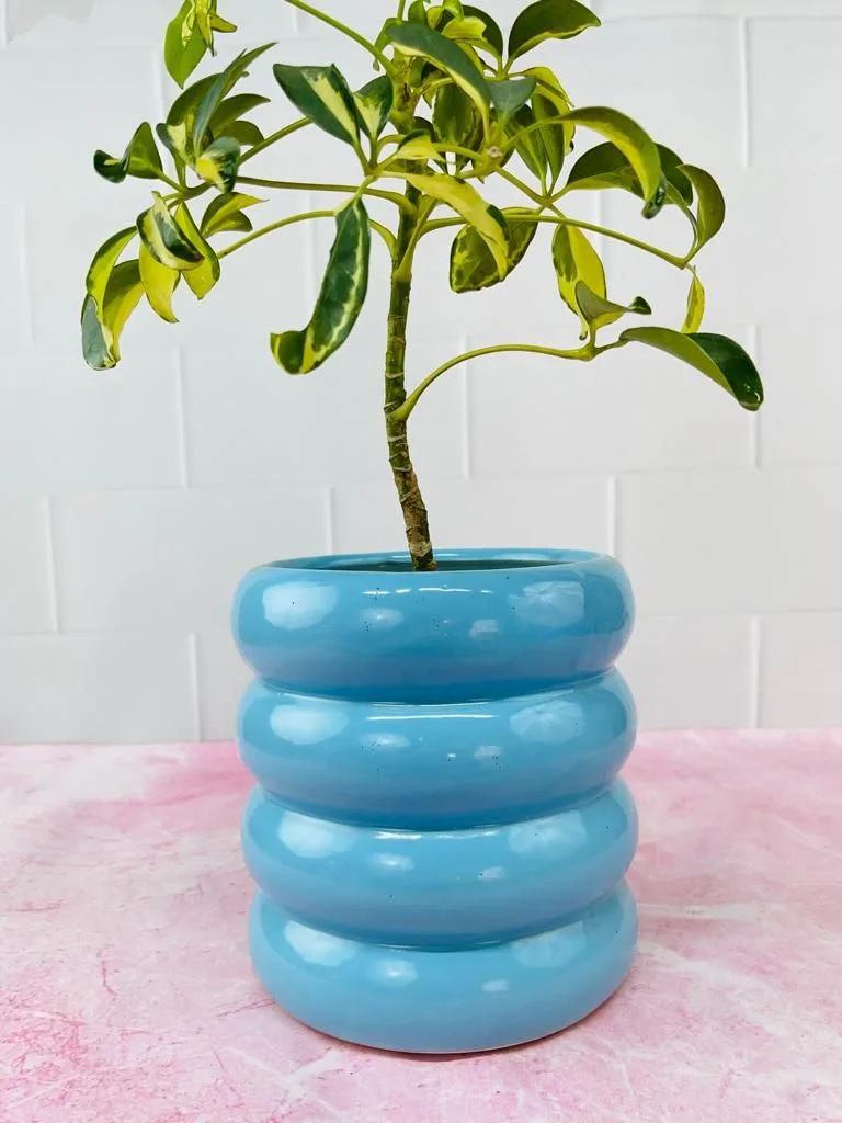 Classic Ceramic Planter — 3.5" Dia × 5" Height — Primary View