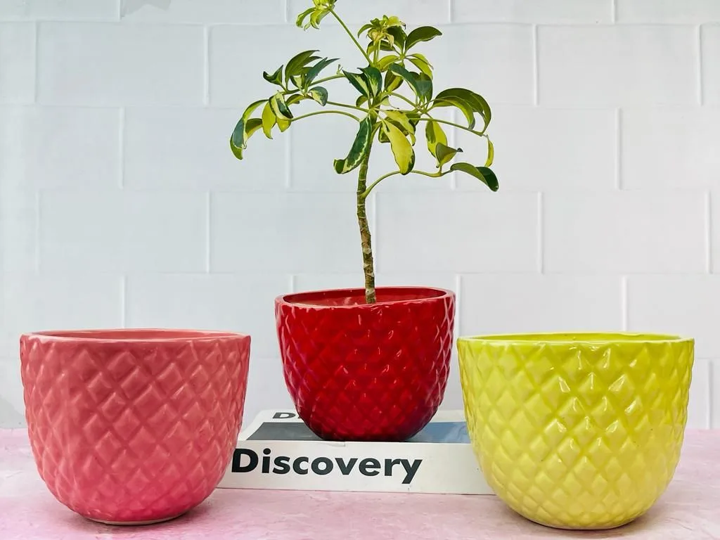 Classic Ceramic Planter — 9" Dia × 3" Height — Primary View