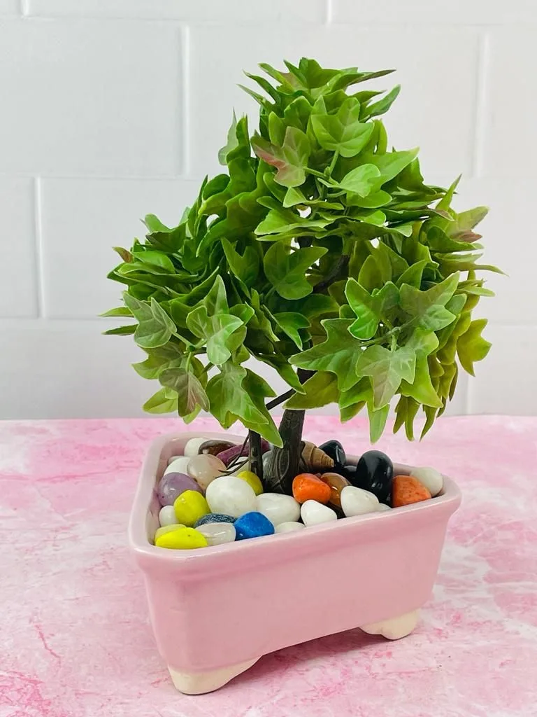 Classic Ceramic Planter — 5.5" Dia — Primary View