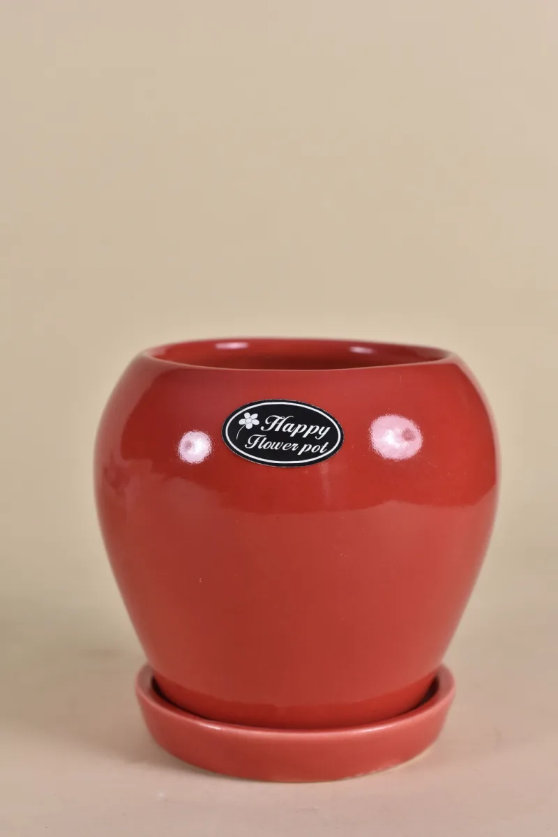Classic Ceramic Planter — 6" Dia × 6.5" Height — Primary View