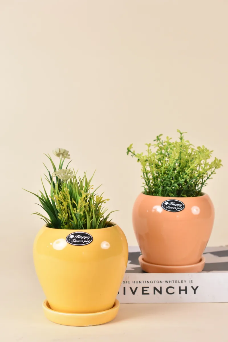 Classic Ceramic Planter — 4.5" Dia × 4.5" Height — Primary View