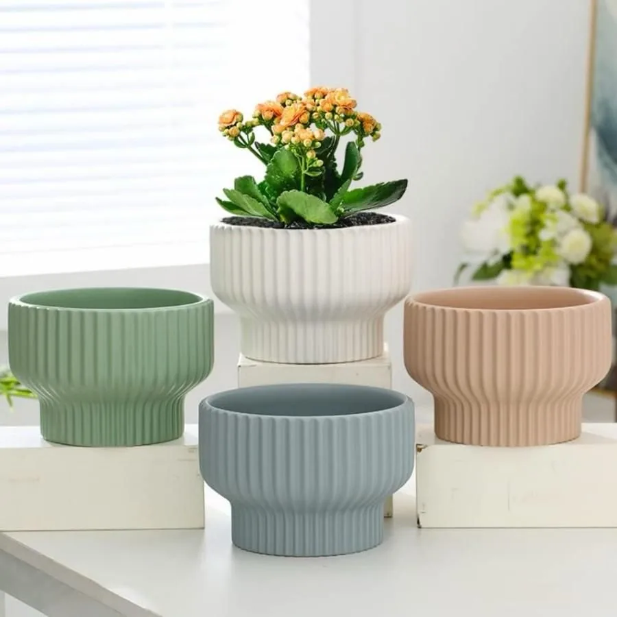 Classic Ceramic Planter — 5.5" Dia × 3" Height — Primary View