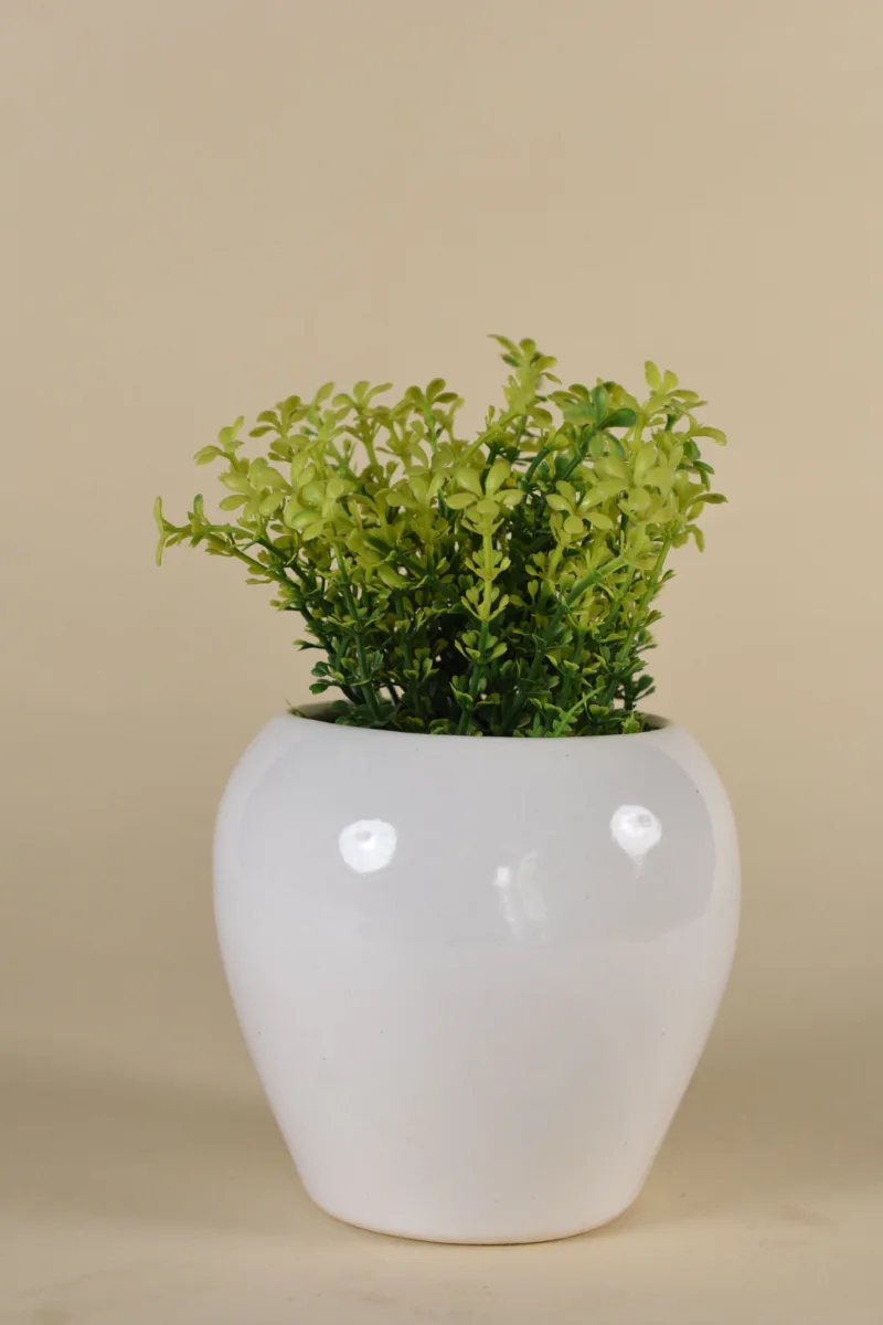 Classic Ceramic Planter — 4" Dia × 4.5" Height — Primary View