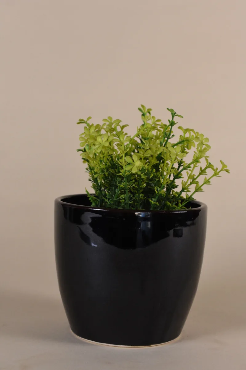 Classic Ceramic Planter — 9" Dia × 3" Height — Primary View